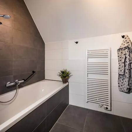 Premium Game Villas, Parc Maasresidence Thorn