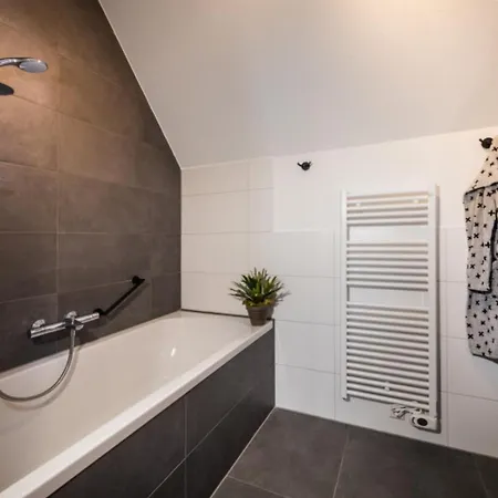 Premium Game Villas, Parc Maasresidence Thorn